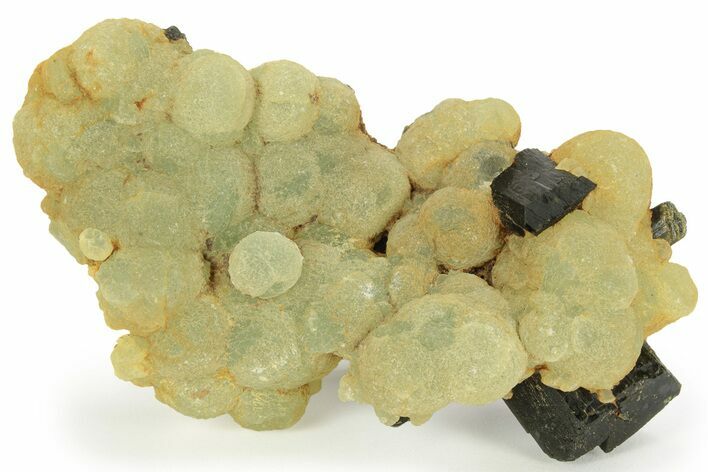 Botryoidal Prehnite and Epidote - Mali #219513